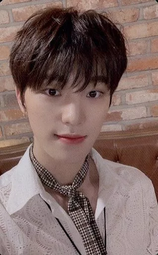 SEVENTEEN / Dino (Dino) / Background Brick / 