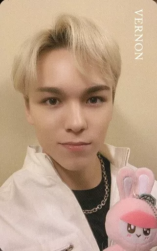 SEVENTEEN / Vernon / Bust-up / owned by Plush toy / CDs 