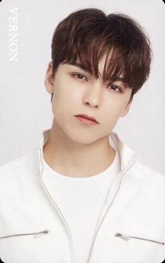 Ode to you 会場限定 An Ode HMV 特典 トレカ NEWS | SEVENTEEN Japan official site