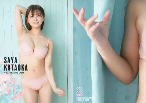 楽天市場】【C】 片岡沙耶 Vol.3 専用特製バインダー (ピンク