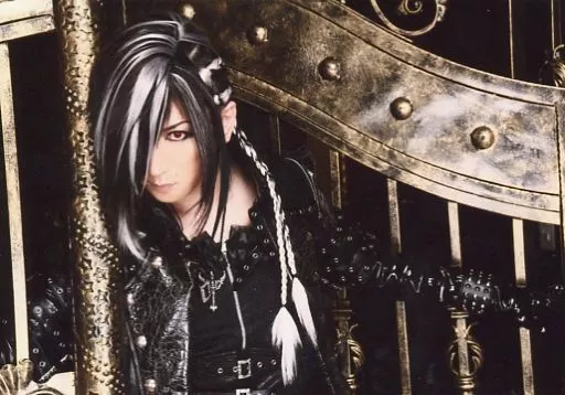 D ASAGI DARK WINGS パンフレット V系 ヴィジュアル系 Official photo (Male) / visual kei Band / D D / Asagi