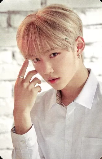 Collection Card (Male) / 「 HI-STAY TOUR FINALE IN SEOUL 」 lucky