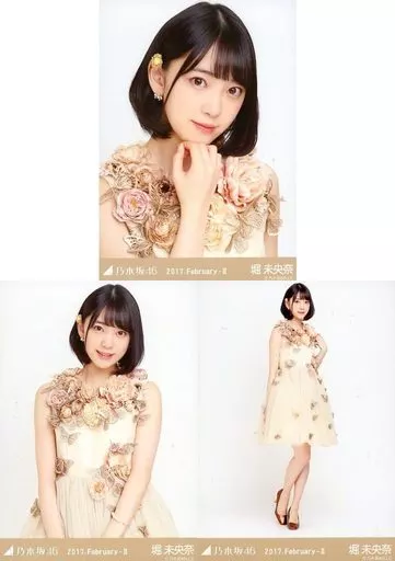 生写真(坂道シリーズ)/アイドル/乃木坂46 ◇堀未央奈/「2017.February