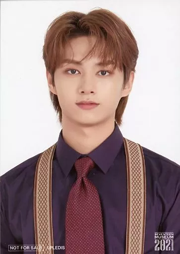 SEVENTEEN ジュン ブロマイド 