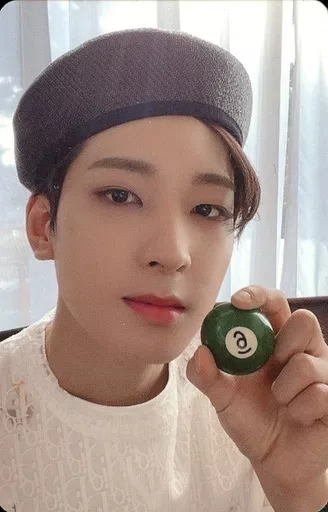 SEVENTEEN/WONWOO / CD SEVENTEEN/WONWOO / CD
