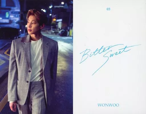 seventeen bittersweet エキシビジョン バパケ ウォヌ 03 : SEVENTEEN