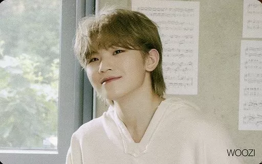 SEVENTEEN/WOOZI(蛆)/Attacca>HMV·Loppi特典特别照片卡| 玩具模型