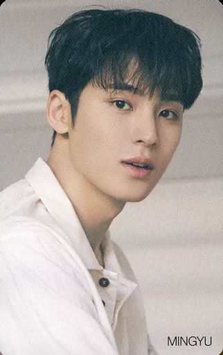Collection Card (Male) / CDs 