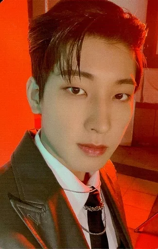 113 : Seventeen / WONWOO / CD 