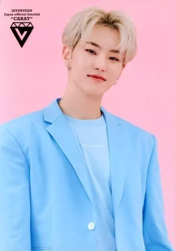 生写真(男性)/アイドル/SEVENTEEN SEVENTEEN/HOSHI(ホシ)/上半身