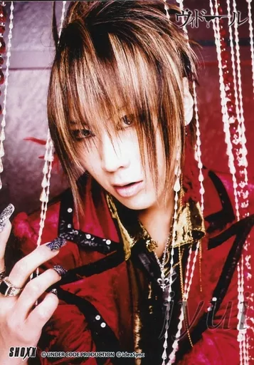 Official photo (male) / visual kei rock band / Vidoll ィドール