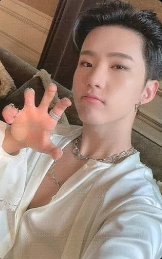 SEVENTEEN Social Club ホシ 再入荷！】 SEVENTEEN social K-POP・アジア トレカ ホシ club