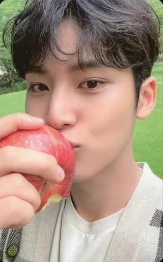 SEVENTEEN/MINGYU (Kim Min-gyu) / Back yellow / SEVENTEEN