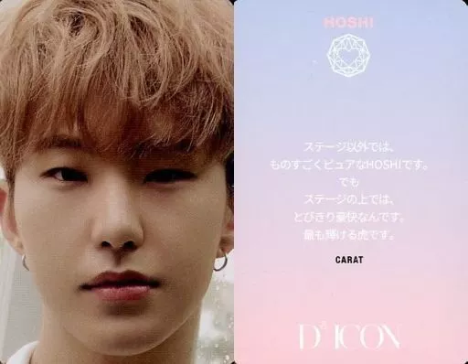 SEVENTEEN - SEVENTEEN DICON ホシ SEVENTEEN/HOSHI / with pink and 英語 messages on the back