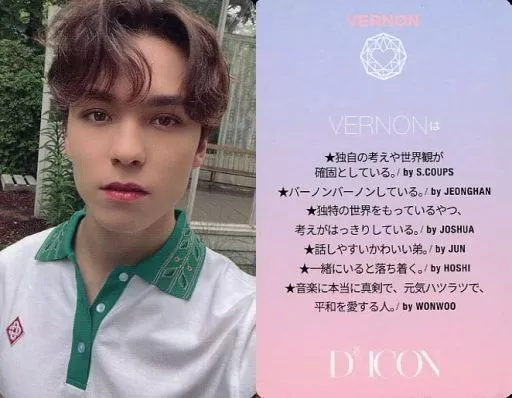 コレクションカード(男性)/｢Dicon PHOTOCARD101 SEVENTEEN｣ﾌｫﾄ