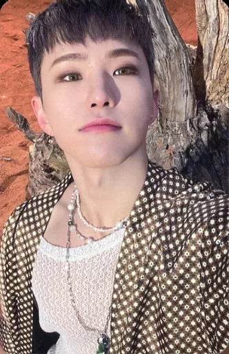 SEVENTEEN ホシ Face the SUN SEVENTEEN - SEVENTEEN FACE THE SUN 4th Album ( CARAT - HOSHI