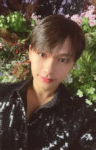 SEVENTEEN セブチ ジュン BE THE SUN フォトステッカー｜Yahoo