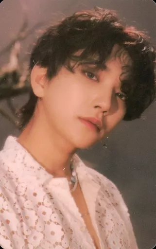 SEVENTEEN Face The Sun 封入 weverse ジョシュア Collection Card (Male) / Special QR Card with CD 