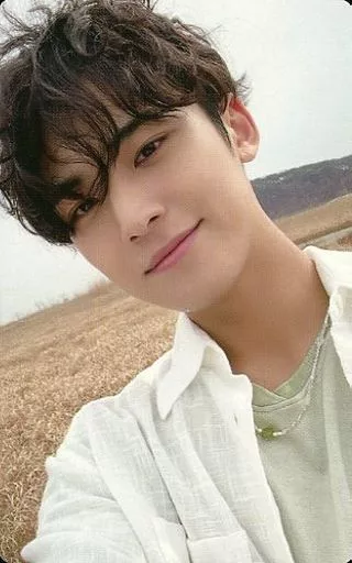 SEVENTEEN/MINGYU (Kim Min-gyu) / Back side beige / orange