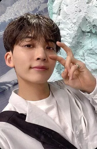 SEVENTEEN JEONGHAN SVT SECTOR17 4th Album Repackage KIT KINO