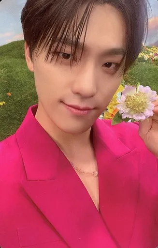 SEVENTEEN / Dino (Dino) / Back Yellow / CD 