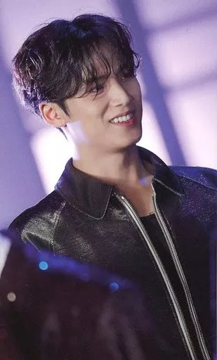Seventeen / MINGYU / CD-SECTOR 17 (general version) Tower Records