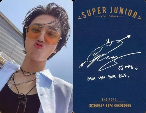 SUPER JUNIOR / Yeson (YESUNG) / Back blue / Printed with signature