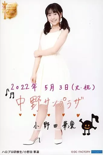 日本人気超絶の 生写真(ハロプロ)/アイドル/ハロプロ研修生 ハロプロ研修生 アイドル
