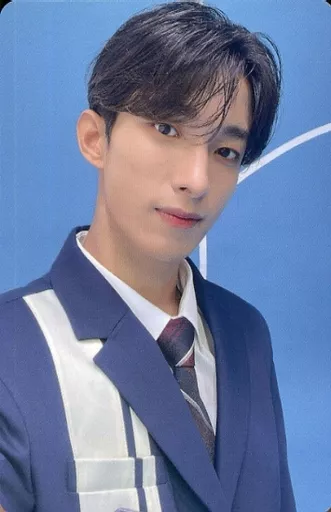 SEVENTEEN ドギョム DK　計84枚 Collection Card (Male) / CD 