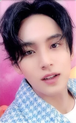 SEVENTEEN DREAM ミンギュ SEVENTEEN Mingyu DREAM Limited Official Photocard