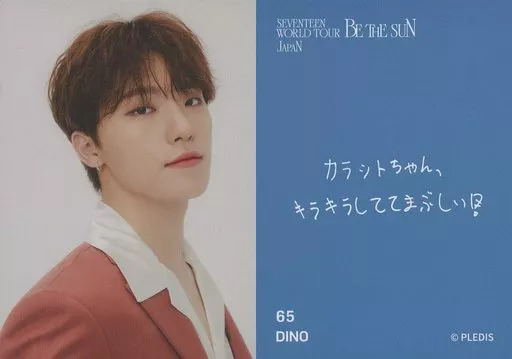 BE THE SUN デイノ 65 : SEVENTEEN / Dino (Dino) / 