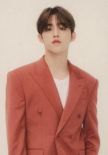 SEVENTEEN BE THE SUN エスクプス Collection card (male) / 