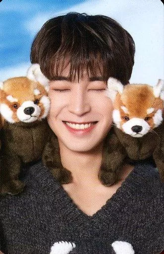 dfesta ウォヌ セット SEVENTEEN ウォヌセット&DVD16枚 DICON D