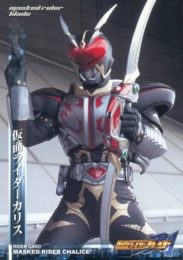 053 Normal : Kamen Rider Karis | Toy Hobby | SURUGA-YA.COM