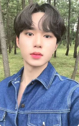 Collection Card (Male) / WEi / Kim JunSeo (Kim JunSeo) / CD