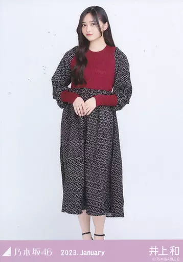 生写真(坂道シリーズ)/アイドル/乃木坂46 井上和/全身・リブチェンジ
