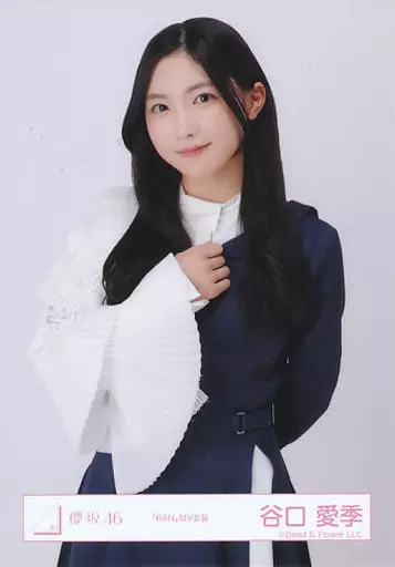 生写真(乃木坂46)/アイドル/櫻坂46 谷口愛季/上半身/櫻坂46