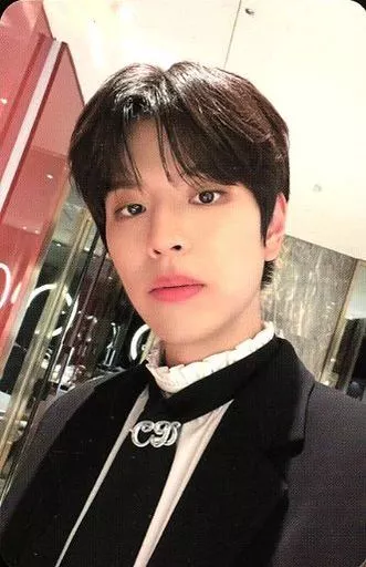 コレクションカード(男性)/PHOTO BOOK｢Stray Kids 