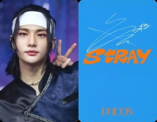 コレクションカード(男性)/「DICON D'FESTA MINI EDITION Stray Kids