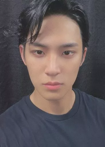 SEVENTEEN/MINGYU (Kim Min-gyu) / 