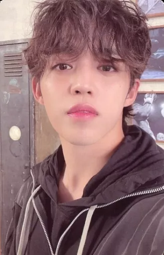 SEVENTEEN EN / S. CUPS (エスクプス) / Back side grey / CD 