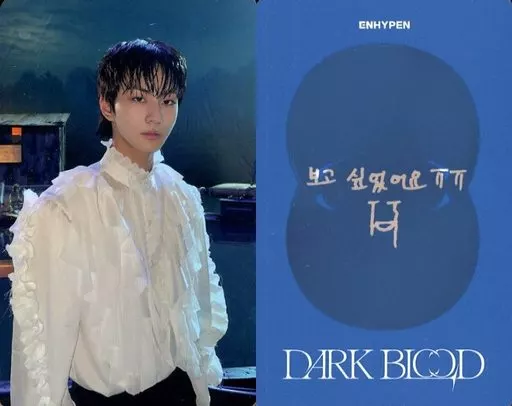 ENHYPEN ジョンウォン DARK BLOOD SHOWCASE ラキドロ 【公式通販