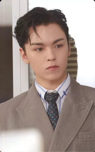 r*o様 SEVENTEEN FML サイン入り生写真 VERON バーノン Collection Card (Male) / CD 