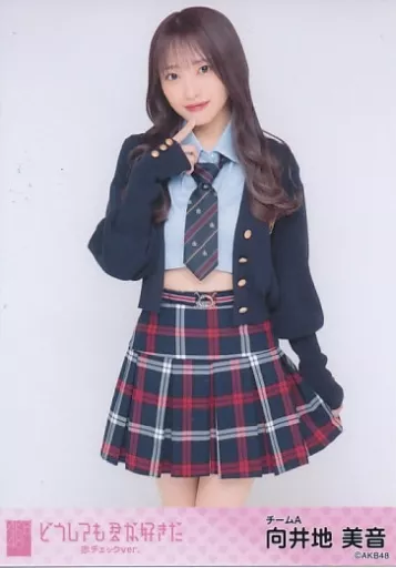 生写真(AKB48・SKE48)/アイドル/AKB48 向井地美音/膝上/AKB48