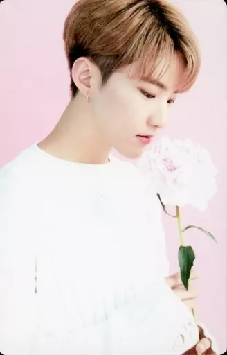 SEVENTEEN CAFE ホシ HOSHI トレカ（22 : SEVENTEEN/HOSHI