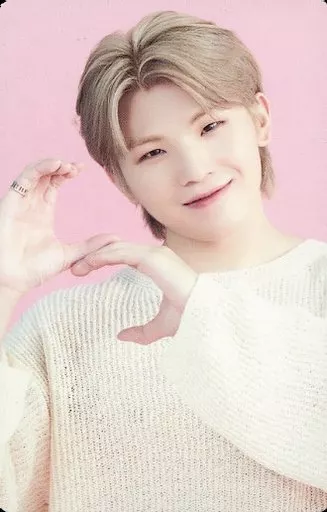 本日限定即日発送】SEVENTEEN WOOZI ウジ ラキドロ 本国トレカ
