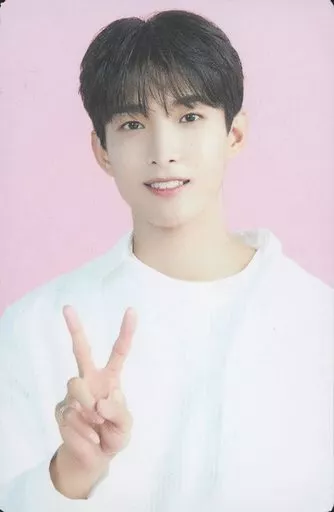 セブチカフェ ソウル トレカ コンプ 抜けなし トレイ ドギョム