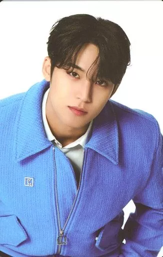 SEVENTEEN トレカ　MINGYU SEVENTEEN MINGYU FOLLOW TO SEOUL CONCERT 2023 CARAT ZONE SVT