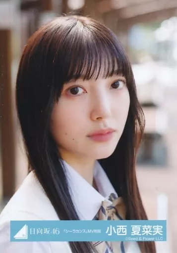 生写真(乃木坂46)/アイドル/日向坂46 小西夏菜実/バストアップ