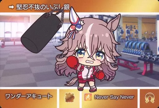 U029 [N] : Wonder Acute | Toy Hobby | Suruga-ya.com